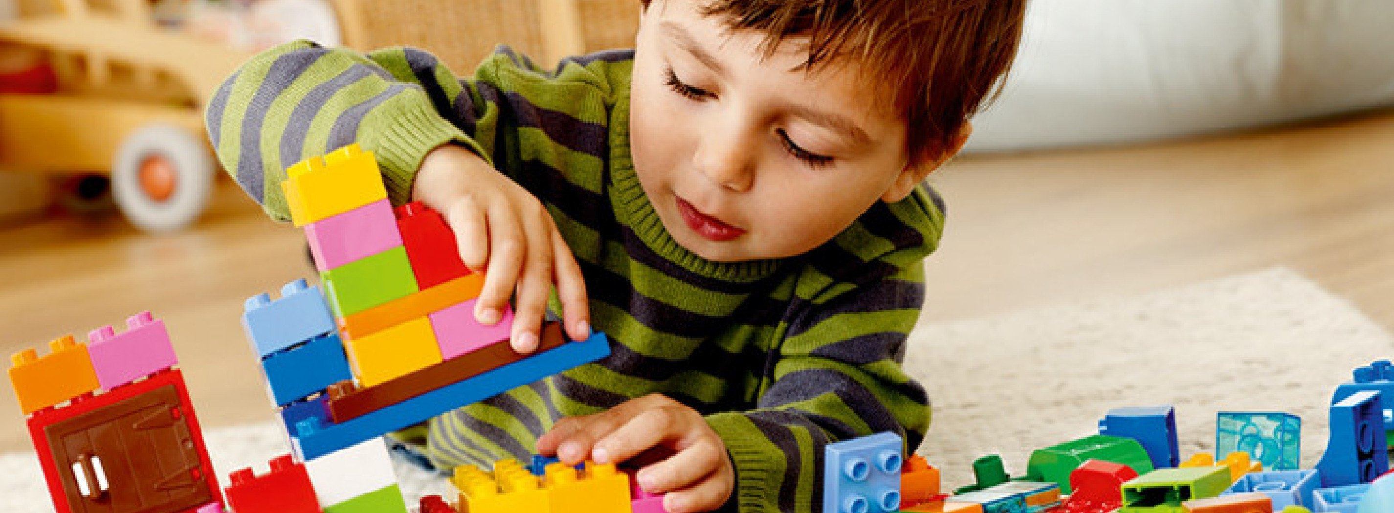 Lego and Duplo Blocks