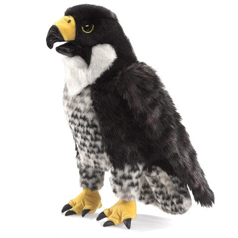 AS IS Peregrine Falcon - louisekool