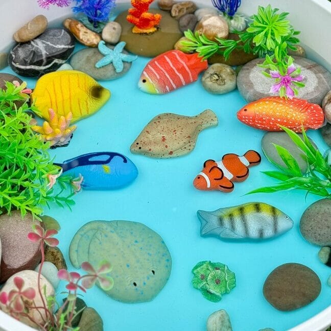 Sensory Play Stones Fish - Set of 8 - louisekool