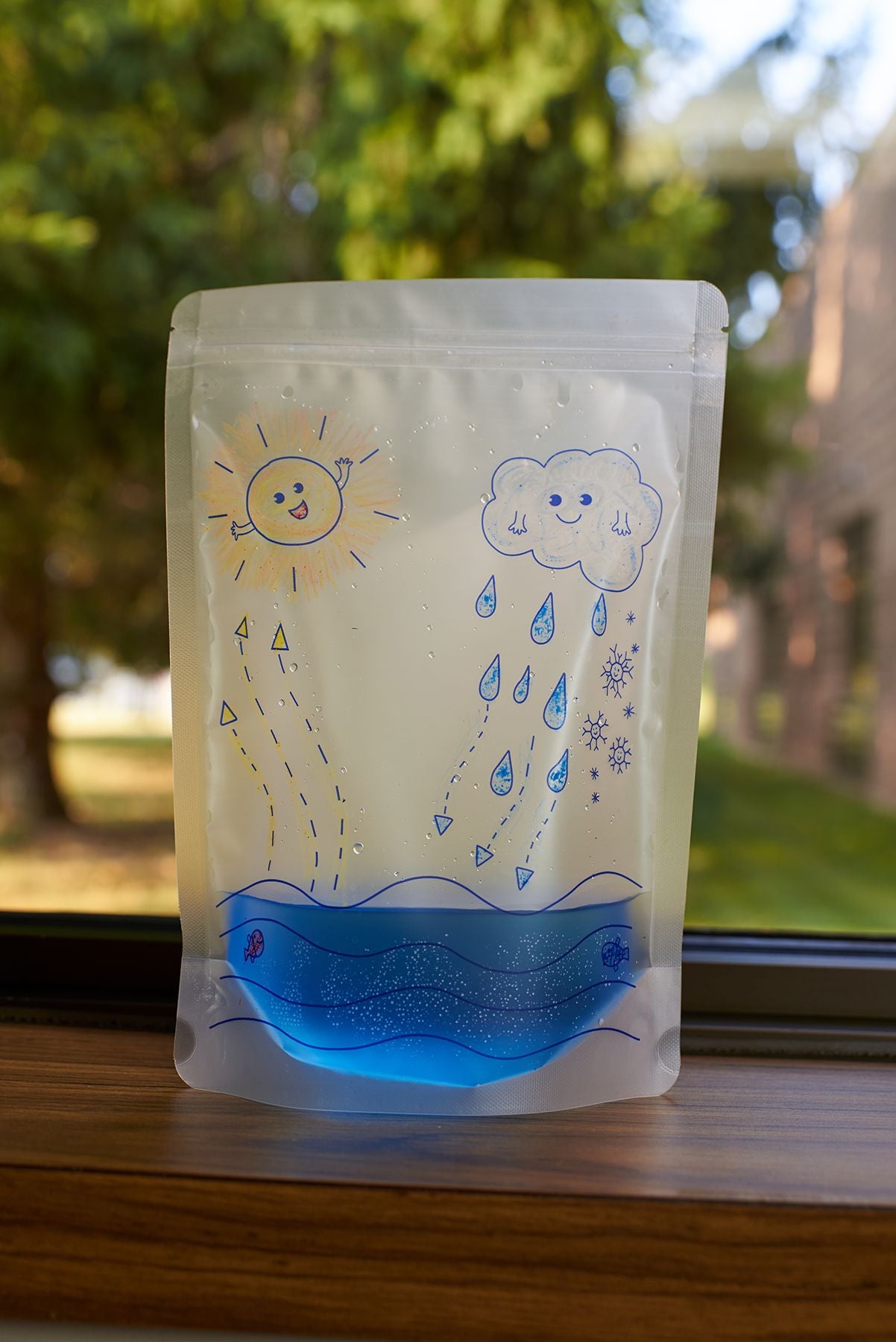 Water Cycle Experiment Kit - louisekool