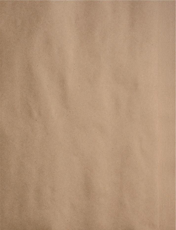 100% Recycled Kraft Paper - louisekool