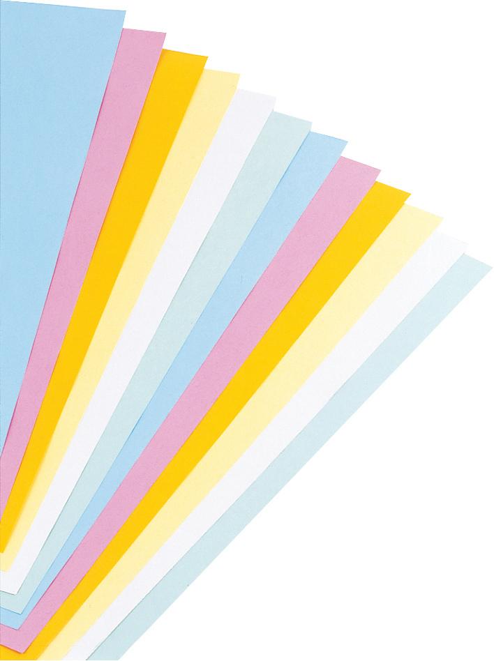 2-ply Cardboard - louisekool