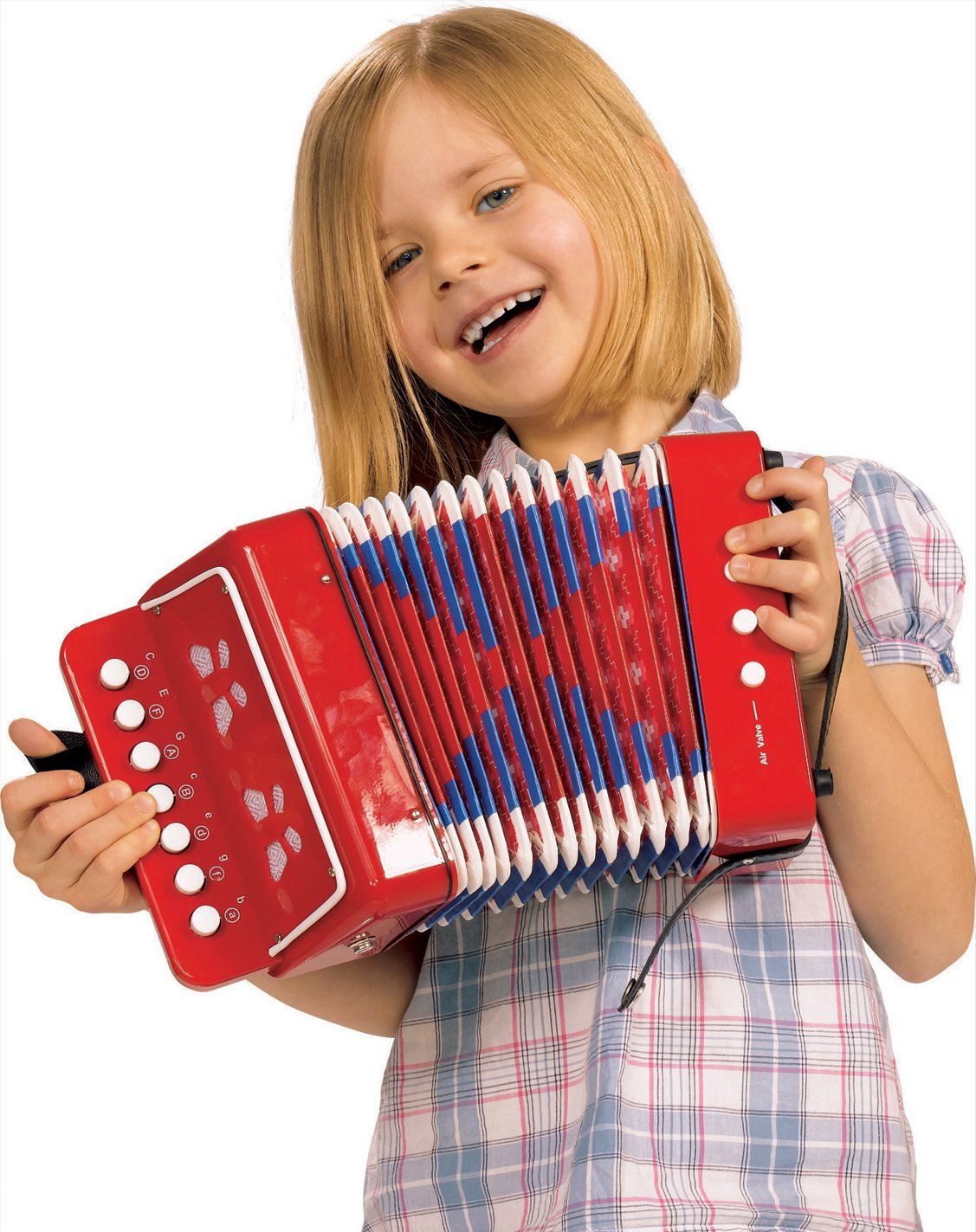 Accordion - louisekool