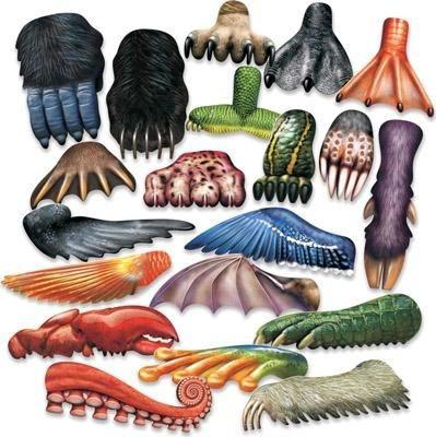 Animal Track Paint Scrapers set of 20 - louisekool