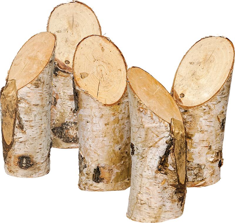 Bag of Birch Wood Pieces - louisekool