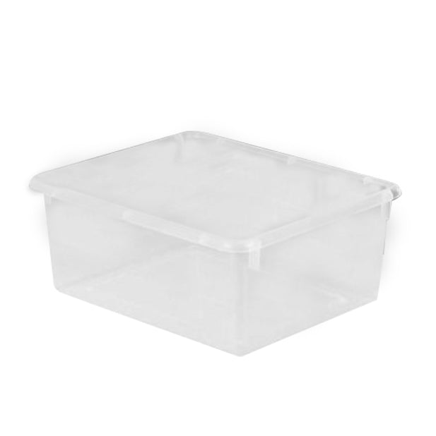 Clear Tote Tray - louisekool