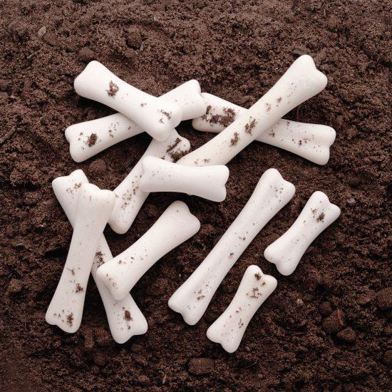 Dinosaur Bones Discovery - Set of 12 - louisekool