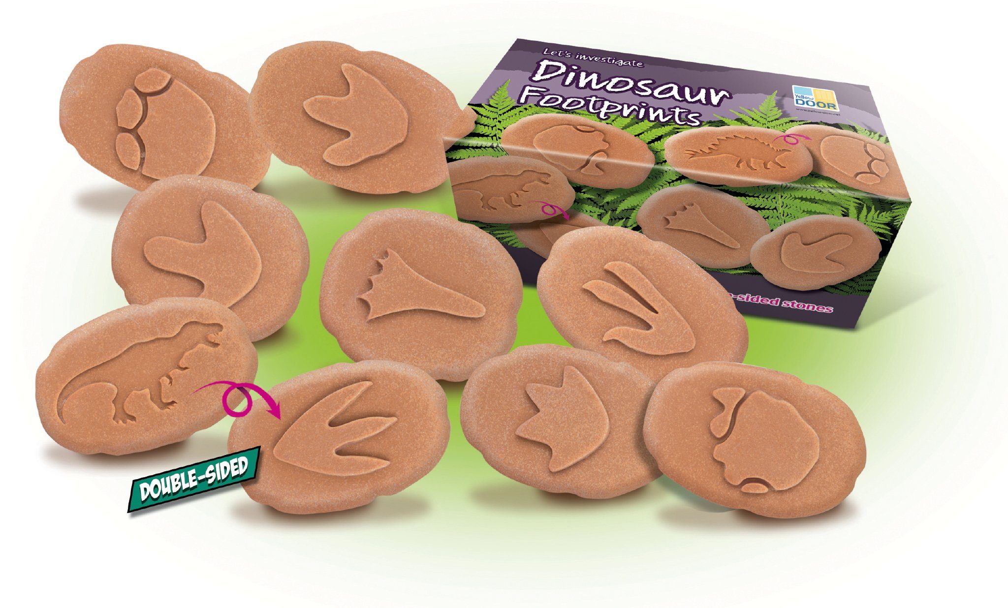 Lets Investigate - Dinosaur Footprints - louisekool