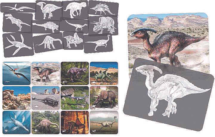 Dinosaur X-Rays - louisekool