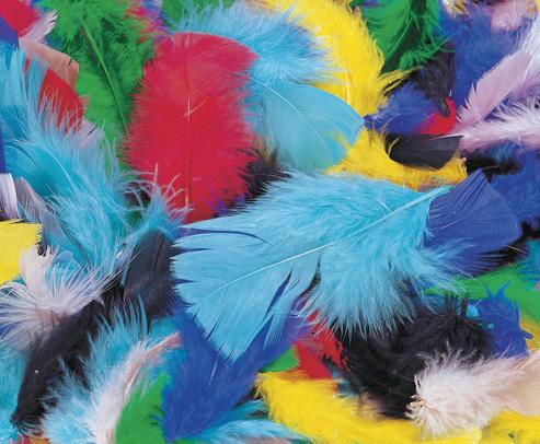 Feathers - louisekool