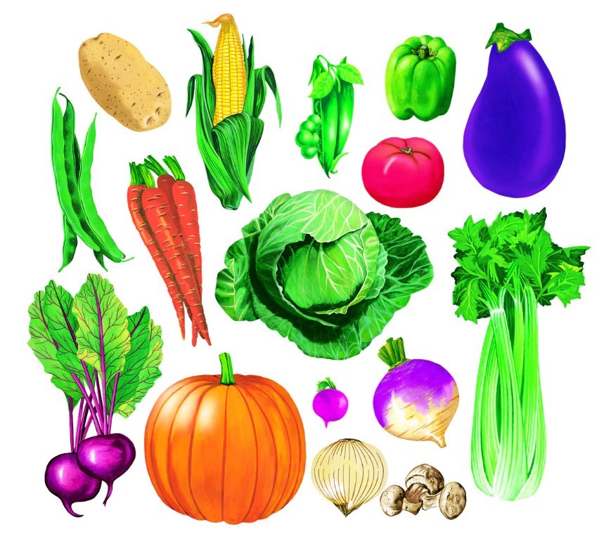 Felt Play Resources - louisekool