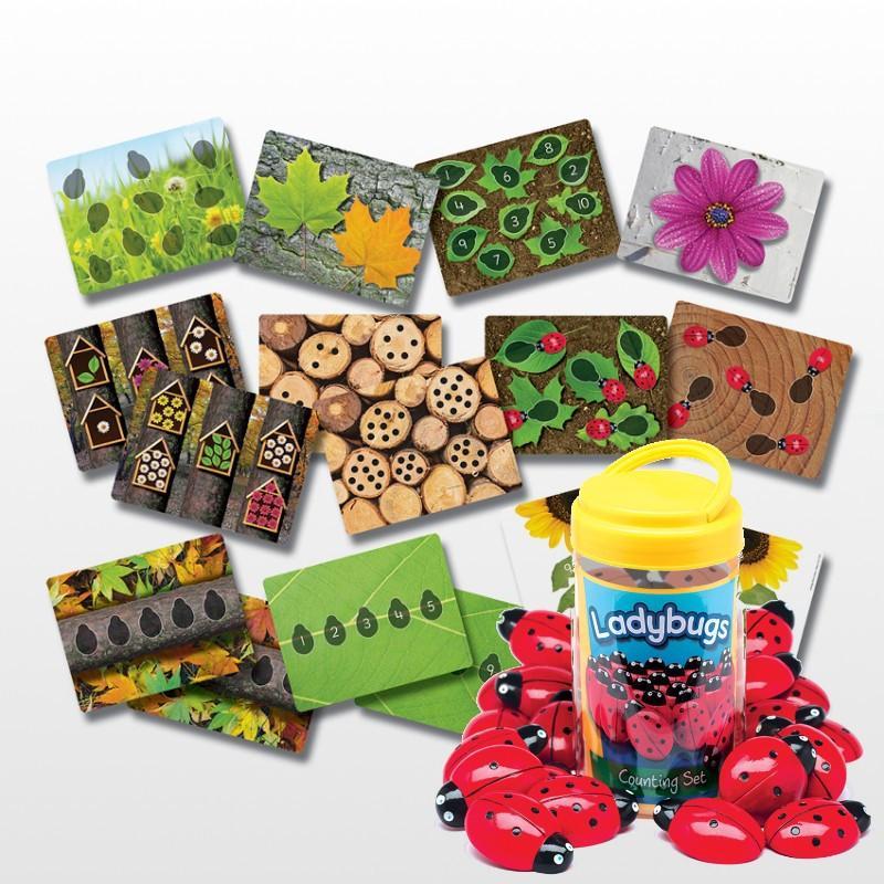Ladybugs Early Numbers Cards - louisekool