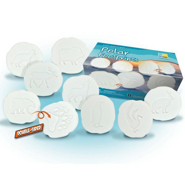 Let's Investigate Polar Footprints - louisekool