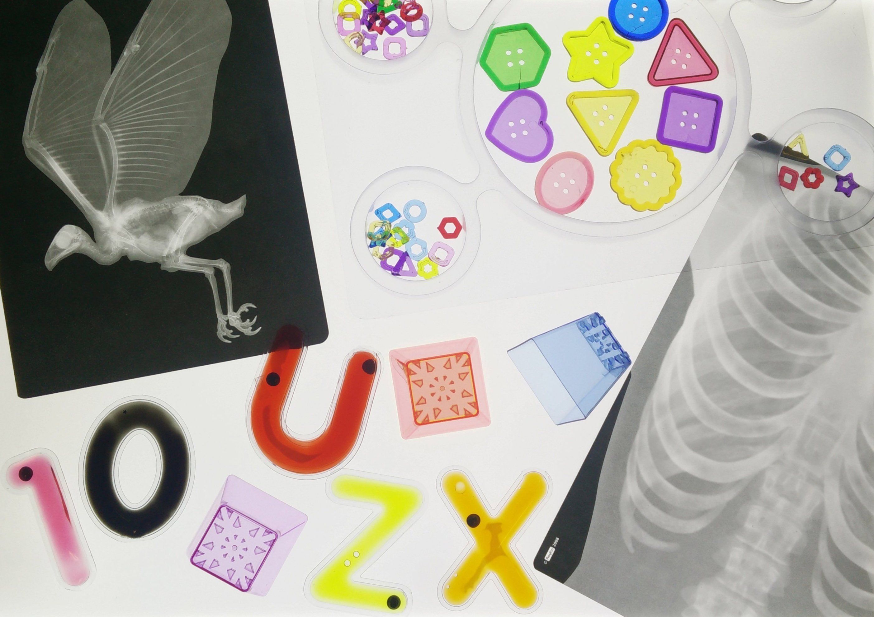 LKG Exclusive Light Table Exploration Kit - louisekool