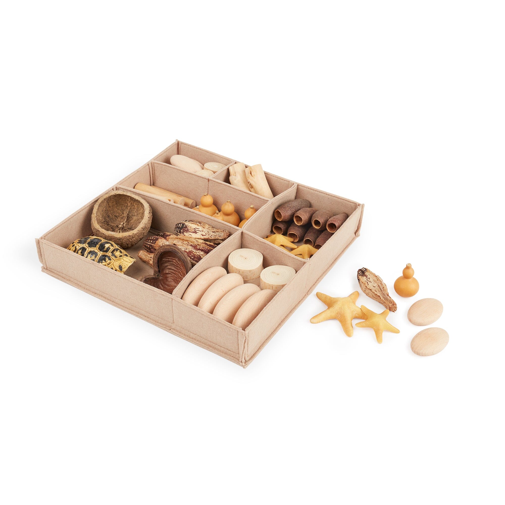 Nature's Geometry Toddler Loose Parts - louisekool