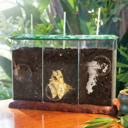Now You See It, Now You Don't, See-Through Compost Container - louisekool