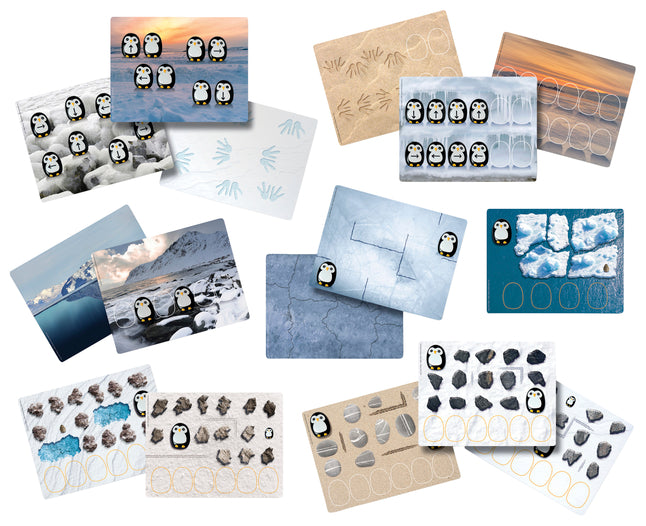 Pre-Coding Penguin Stone and Card set - louisekool