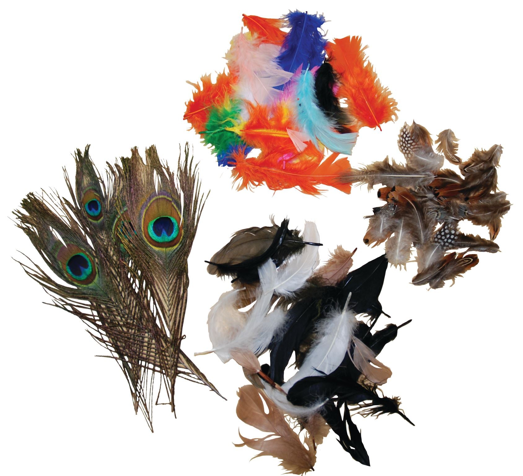 Rainbow & Natural Feathers Set of 4 - louisekool