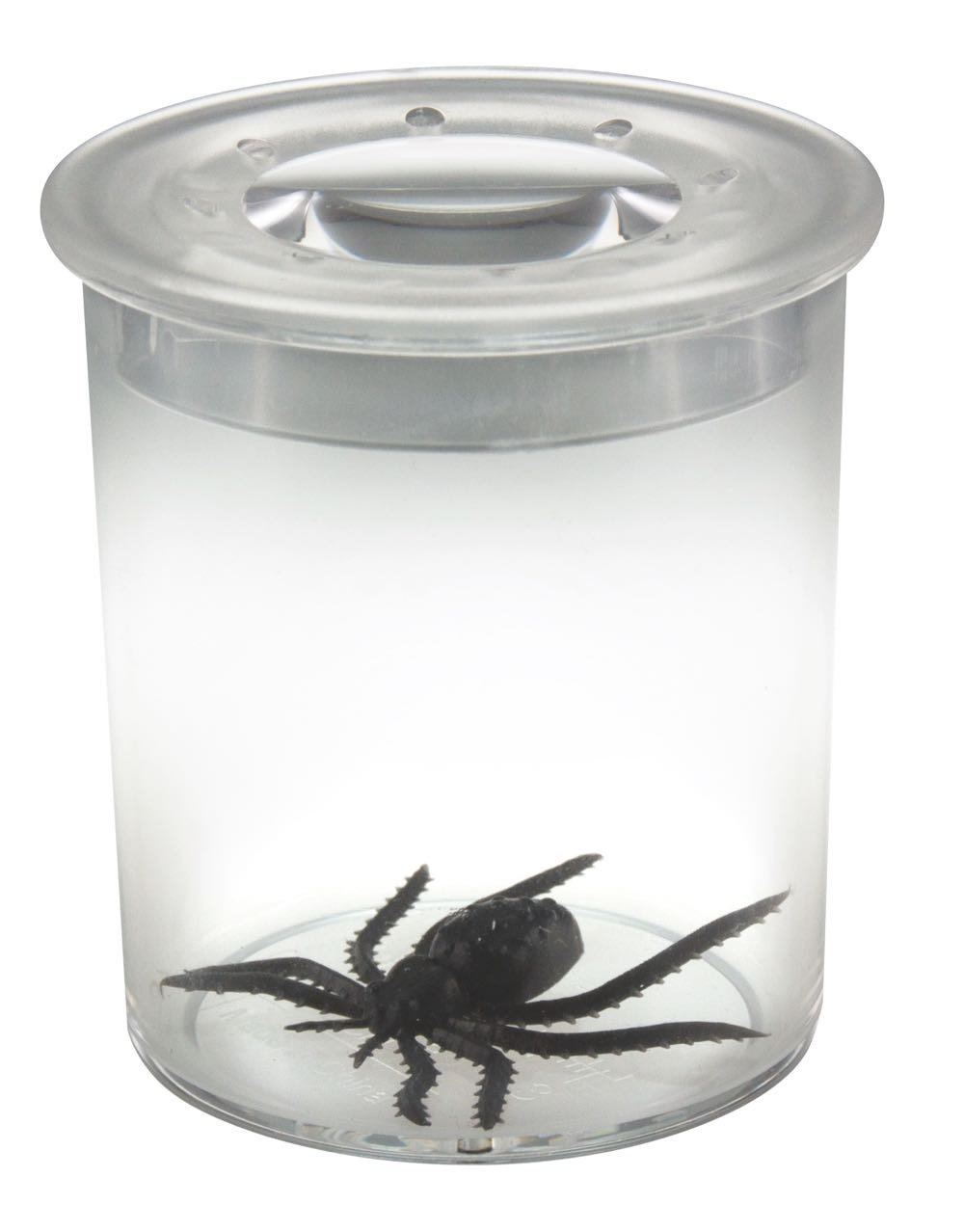 Standard Bug Viewer - louisekool