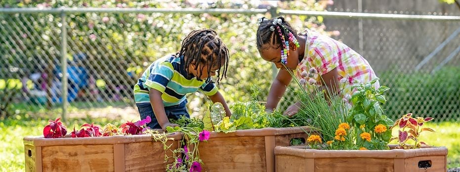 Plant the Seeds for Engaging Outdoor Learning