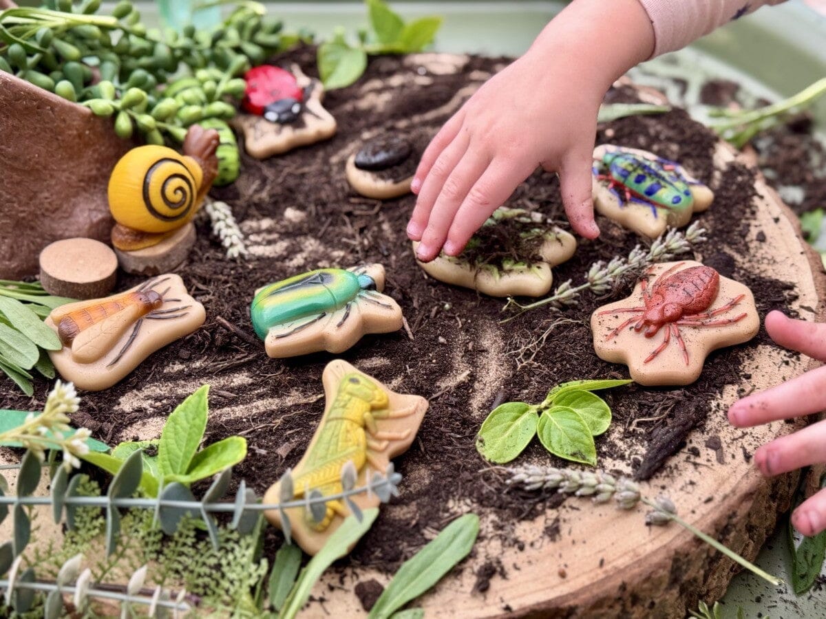 Spring Bug Exploration in Childcare: Outdoor Science Learning with Insects