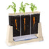 3 Section Root View Planter - louisekool