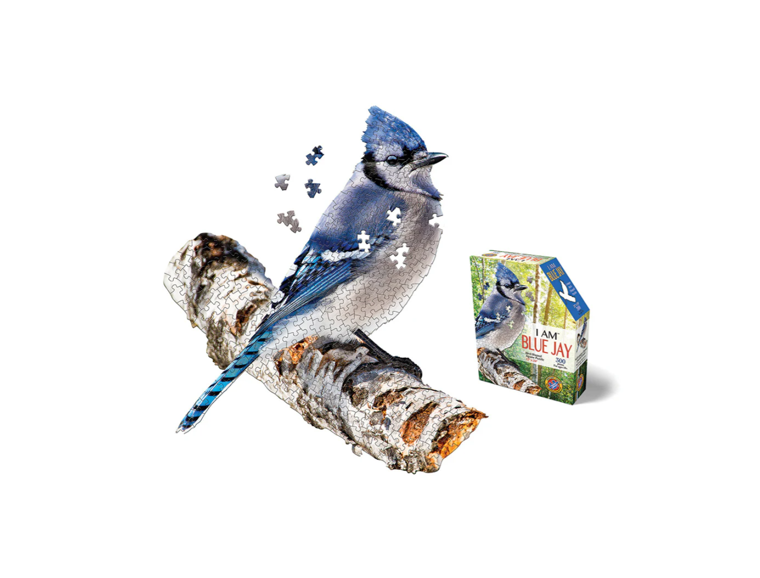 I AM Blue Jay Puzzle, 300 pieces
