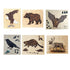 Animal Anatomy Puzzles - Set of 6 Toys Louise Kool & Galt for child care day care primary classrooms
