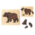 Animal Anatomy Puzzles - Set of 6 Toys Louise Kool & Galt for child care day care primary classrooms