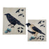 Animal Anatomy Puzzles - Set of 6 Toys Louise Kool & Galt for child care day care primary classrooms