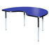 AS IS - Adjustable Tables - Kidney (48" x 72") Blue - louisekool