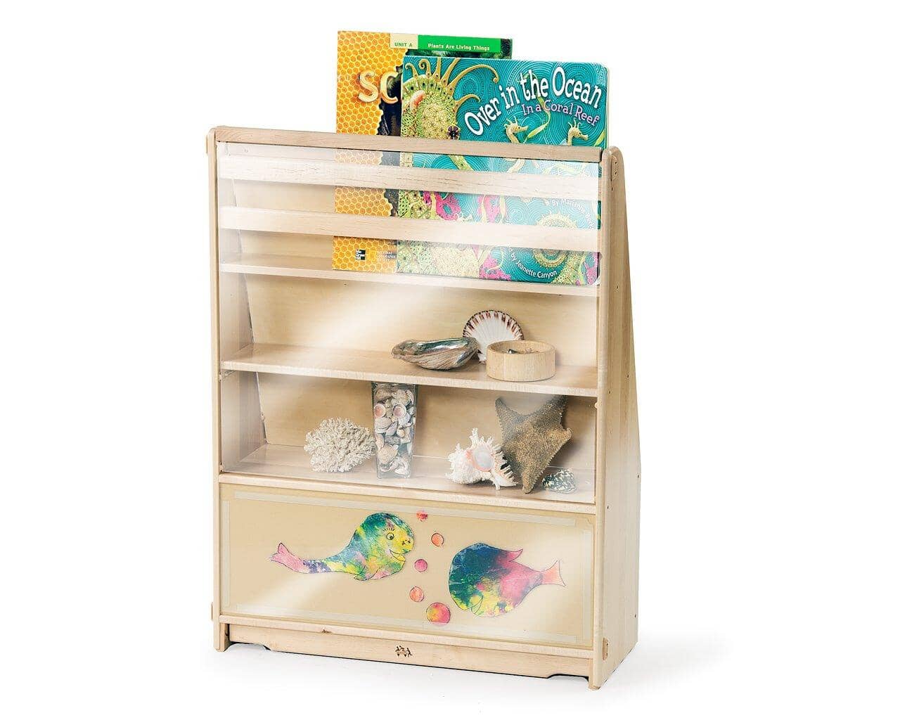 AS IS Display-It-All with Clear Panel - louisekool