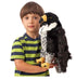 AS IS Peregrine Falcon Toys Louise Kool & Galt for child care day care primary classrooms