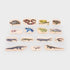 Chunky Wooden Animals - Set of 15 - louisekool