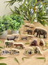Endangered Animal Families Wooden Characters - louisekool