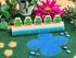 Five Frog on a Log - louisekool