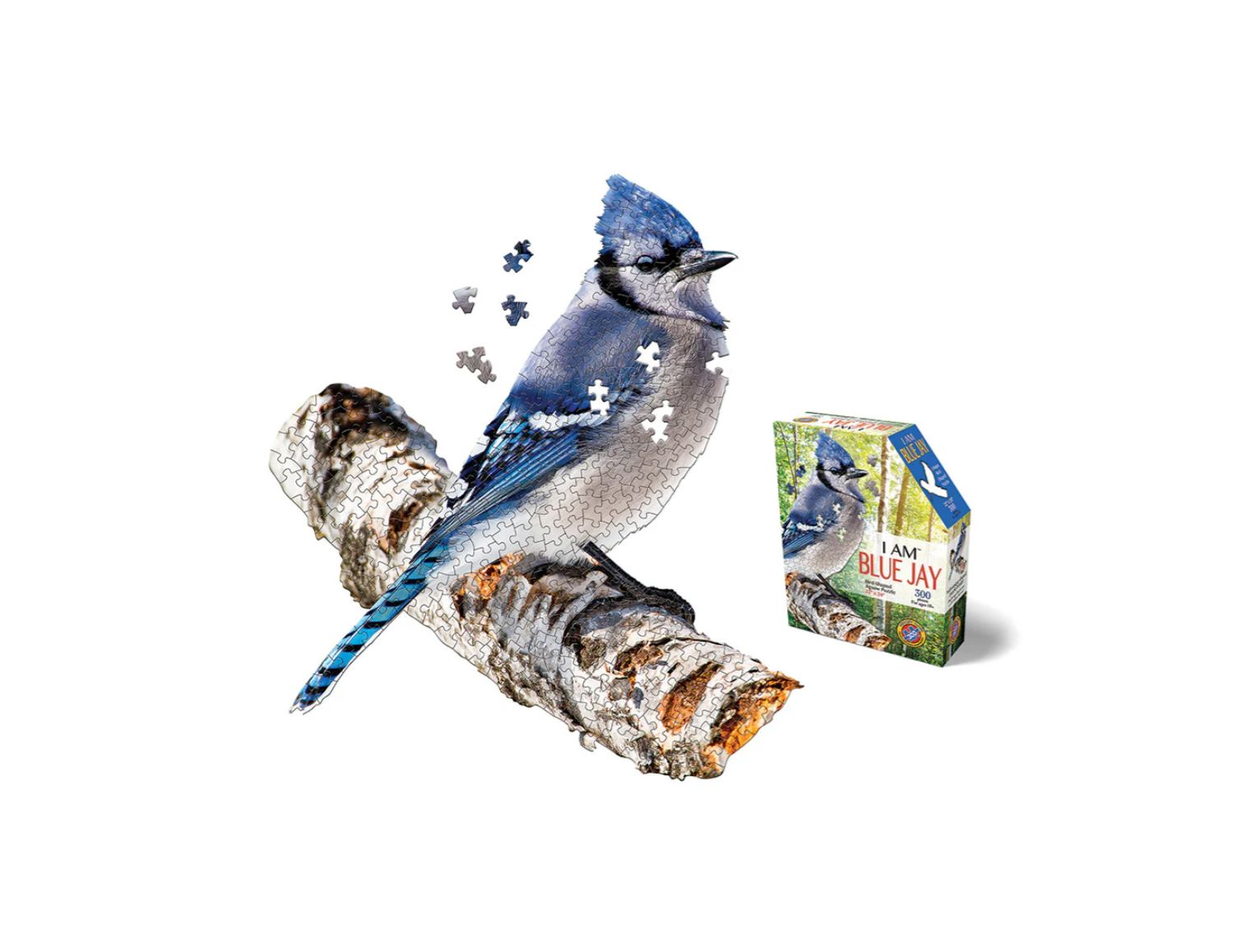 I AM Blue Jay Puzzle, 300 pieces Puzzles Louise Kool & Galt for child care day care primary classrooms
