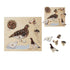 Lifecycle Puzzles- Set of 4 Toys Louise Kool & Galt for child care day care primary classrooms