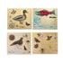 Lifecycle Puzzles- Set of 4 Toys Louise Kool & Galt for child care day care primary classrooms