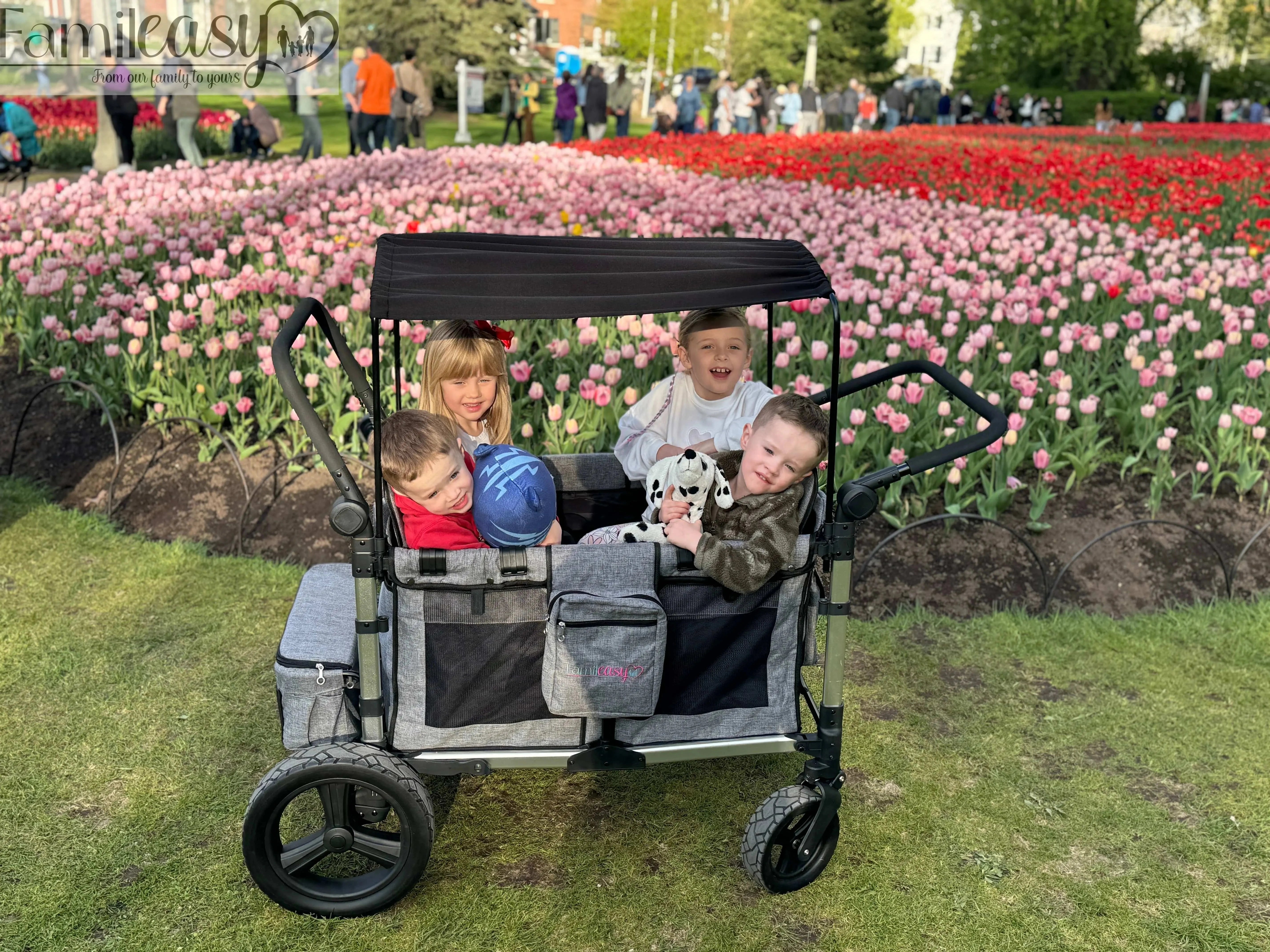 Multi-Child Stroller Wagon Bundle - louisekool