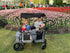 Multi-Child Stroller Wagon Bundle - louisekool