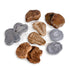 Magnetic Fossil Stones - Set of 6 - louisekool