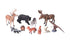 North American Animals - Set Of 10 - louisekool