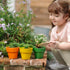 Plant Pots - Set of 3 Toys Louise Kool & Galt for child care day care primary classrooms