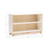 Sense of Place - 2-Shelf Large Open Storage 30" - louisekool