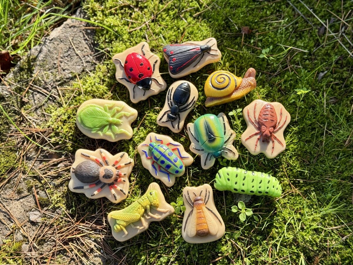 Sensory Play Stones Bugs - Set of 12 - louisekool