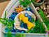 Sensory Stones - Ocean Life - louisekool