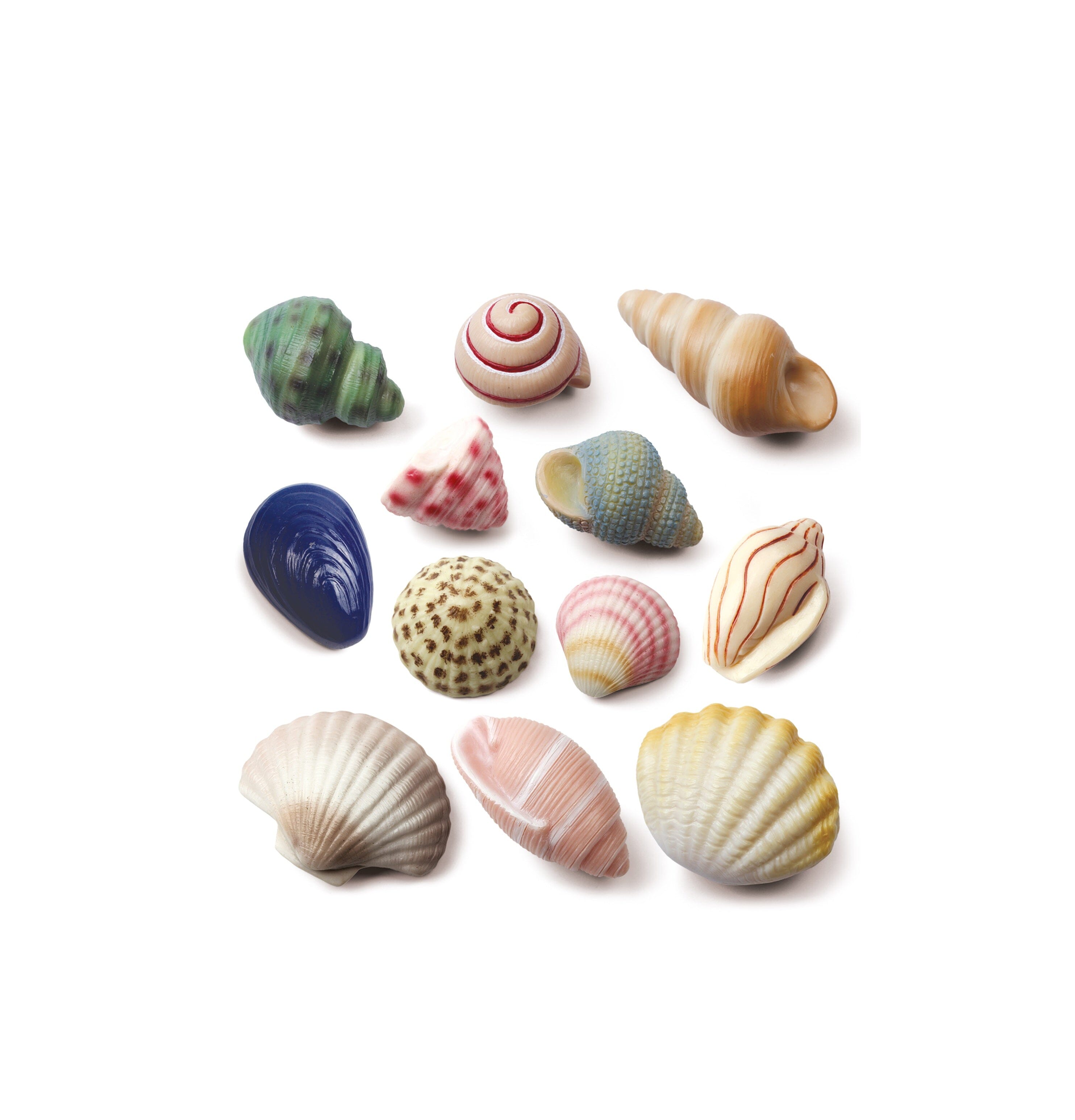 Sensory Stones - Seashells - louisekool