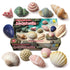 Sensory Stones - Seashells - louisekool