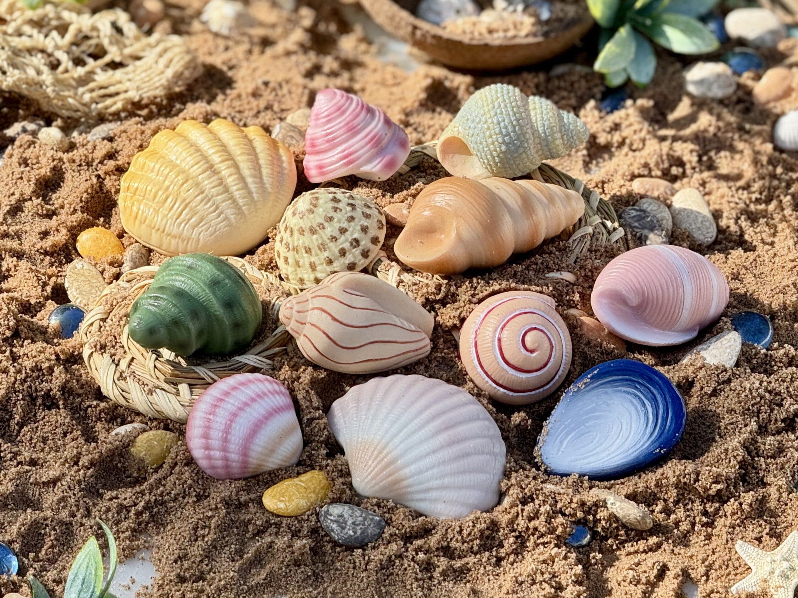 Sensory Stones - Seashells - louisekool